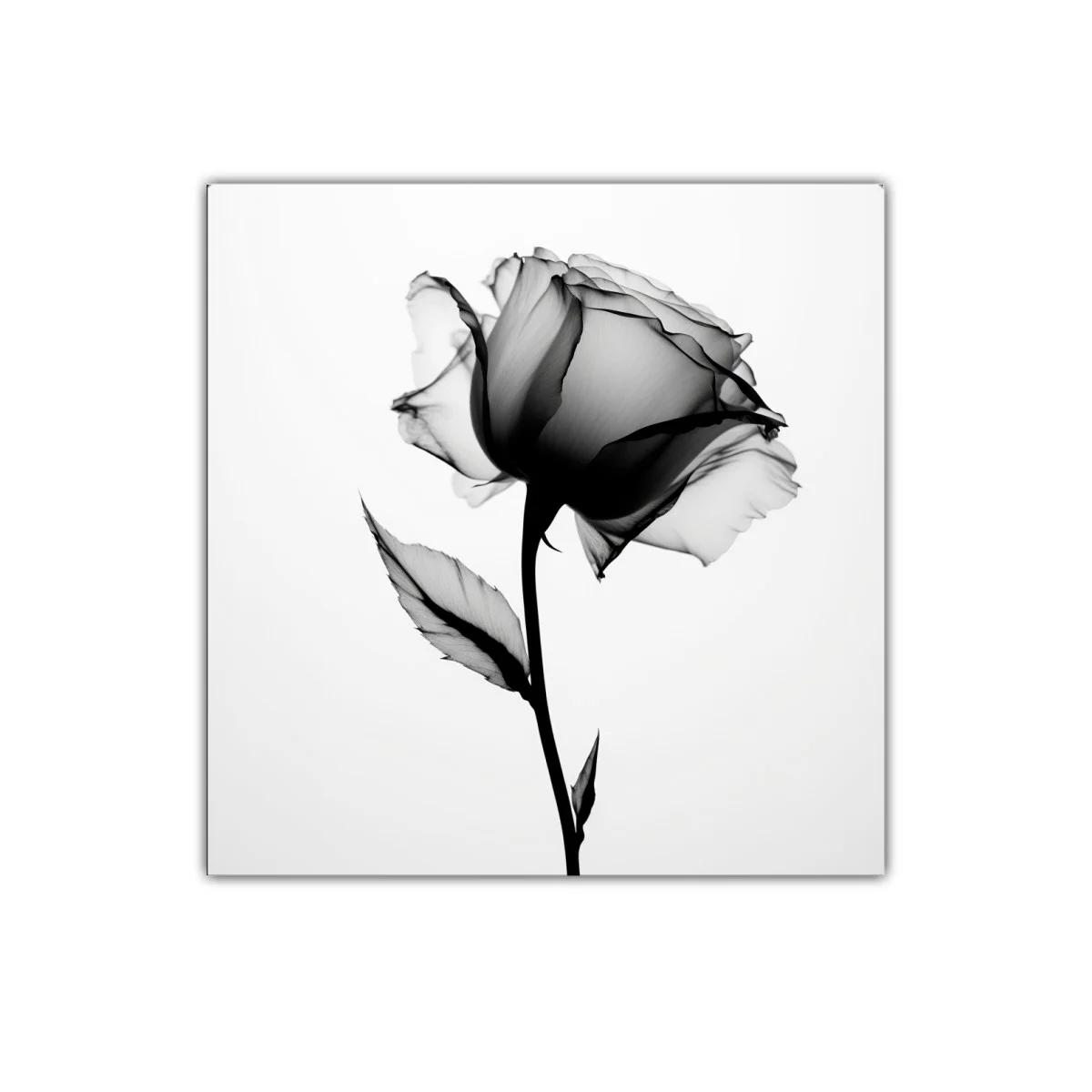 Elegante rosa en estilo minimalista en blanco y negro — imagen principal