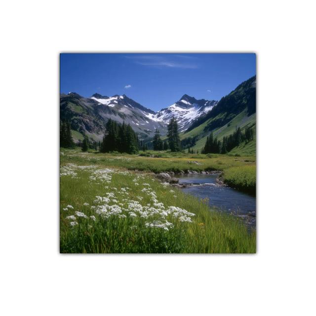 Paisaje natural con montañas nevadas y pradera verde