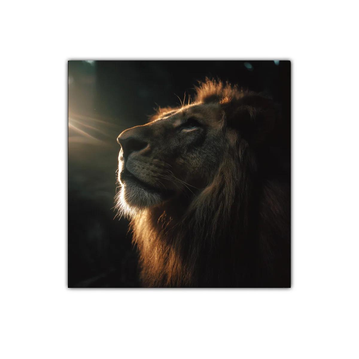 Imponente retrato de león con luz dorada sobre melena — imagen principal