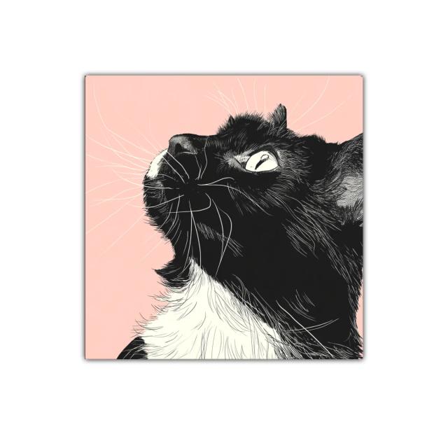 Retrato de gato negro y blanco con fondo rosa suave