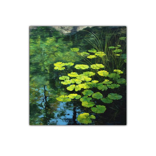 Tranquilidad reflejada en hojas verdes sobre el agua