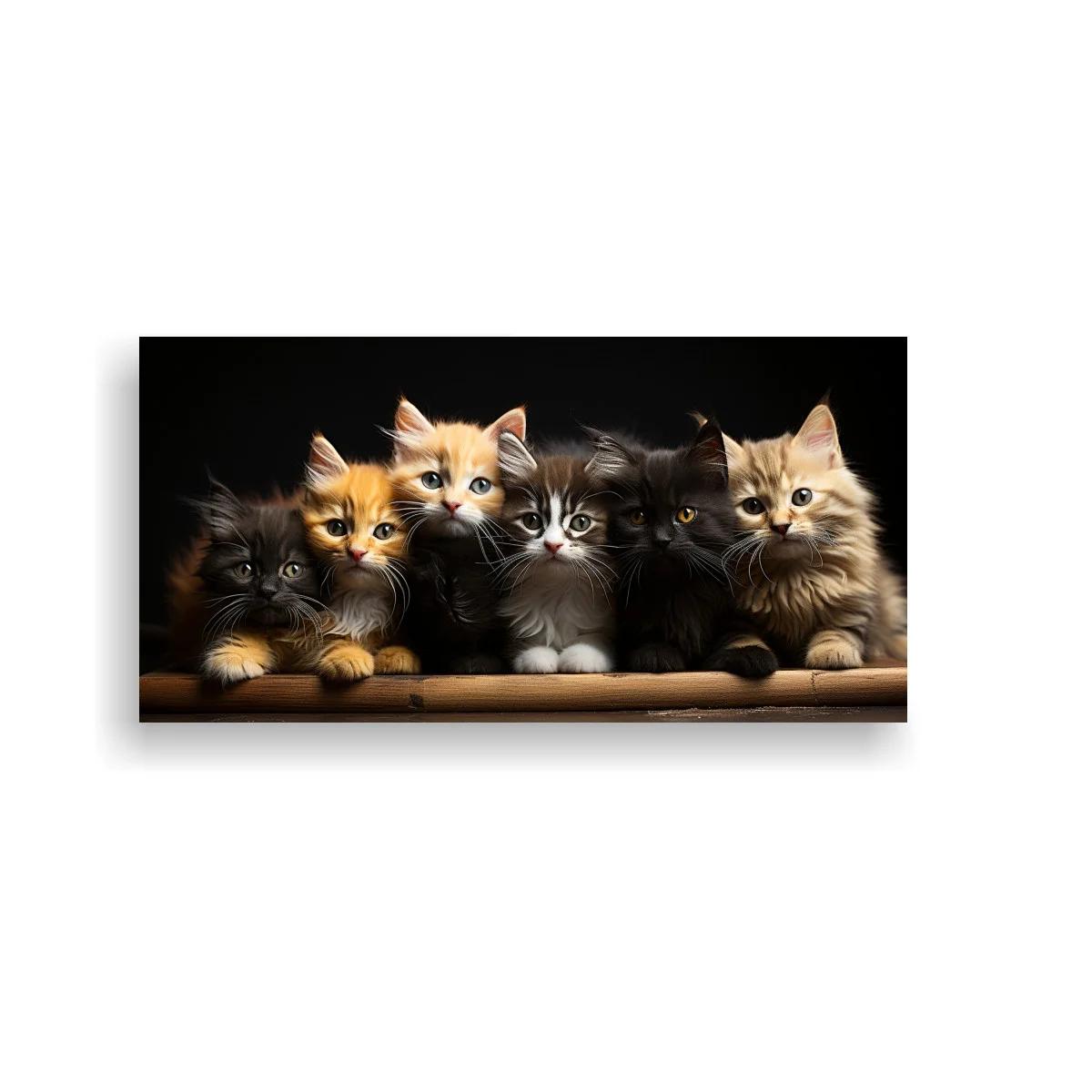 Cuadro grupo de gatitos peludos con fondo oscuro