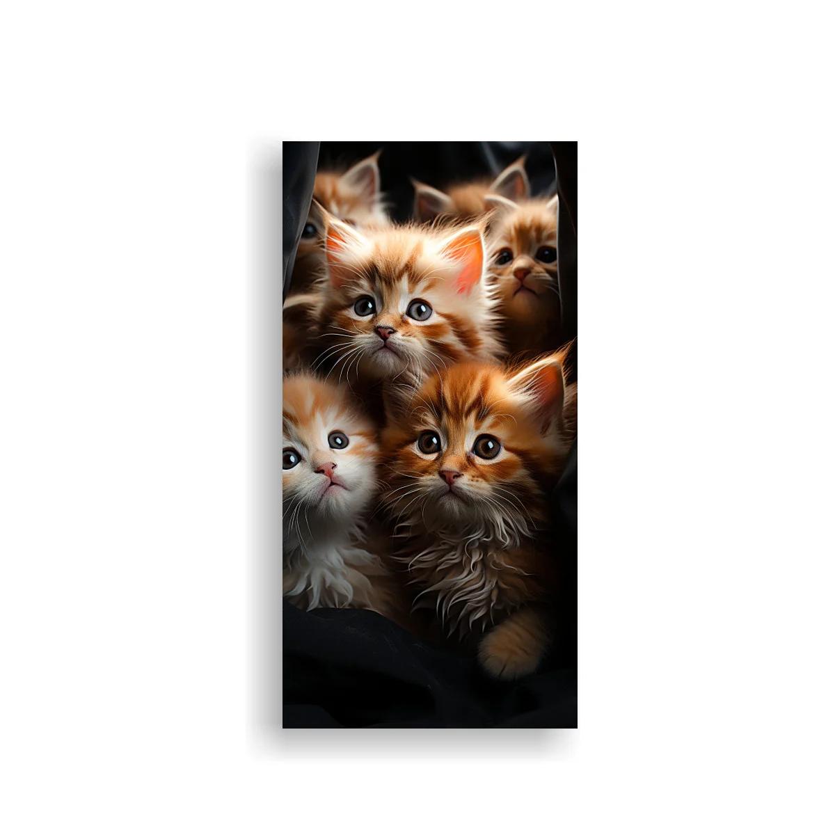 Cuadro gatitos pelirrojos entre sombras oscuras