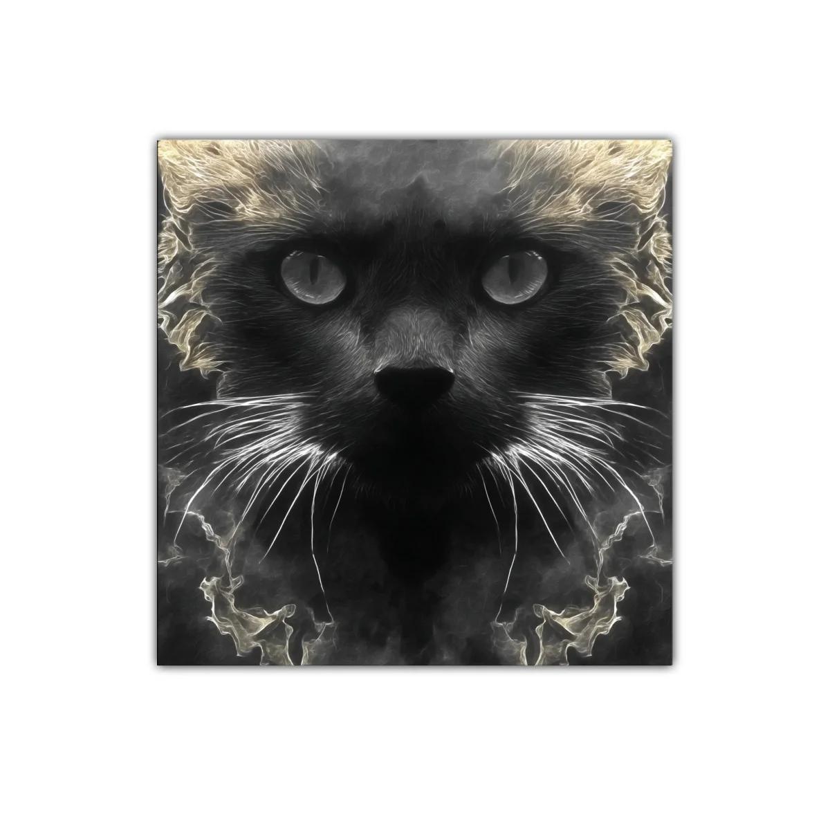 Impactante retrato de gato en tonos oscuros y luces etéreas