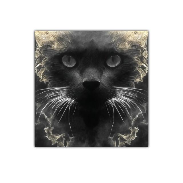 Impactante retrato de gato en tonos oscuros y luces etéreas