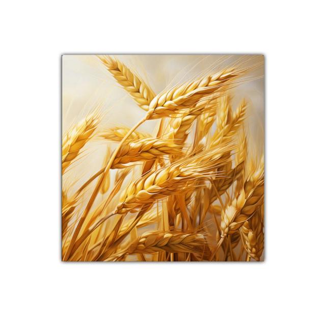 Cuadro decorativo espigas doradas campo de trigo