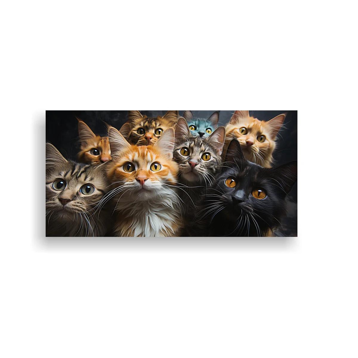 Cuadro grupo de gatos domésticos de ojos grandes y pelaje esponjoso — imagen principal
