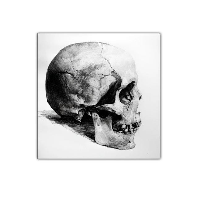 Cuadro decorativo de calavera en estilo monocromo detallado