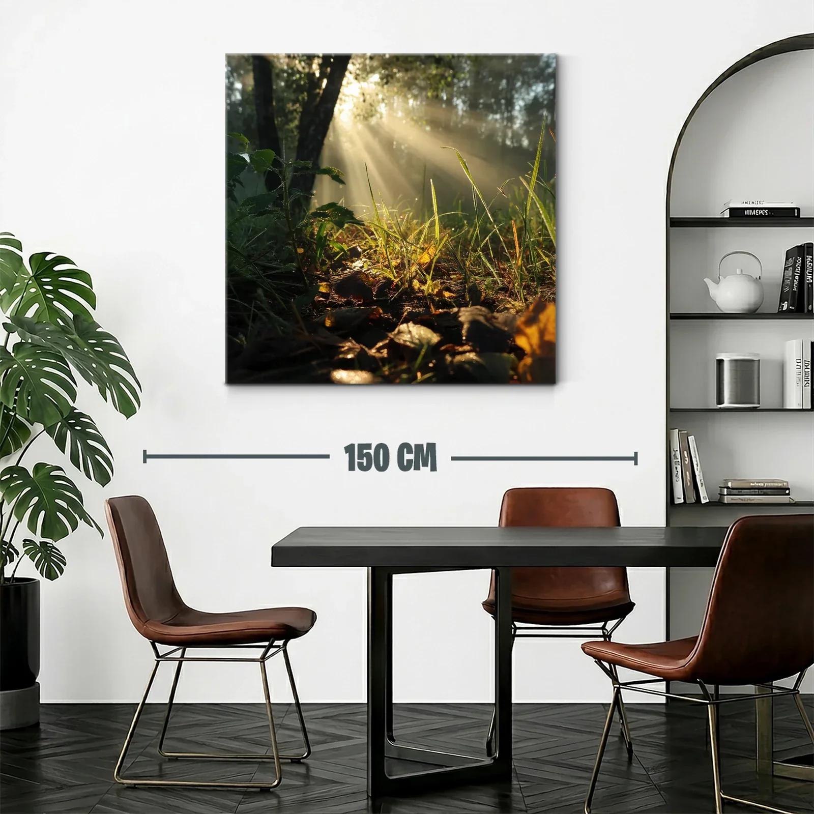 Rayos de sol entre hojas y naturaleza en calma — miniatura 2