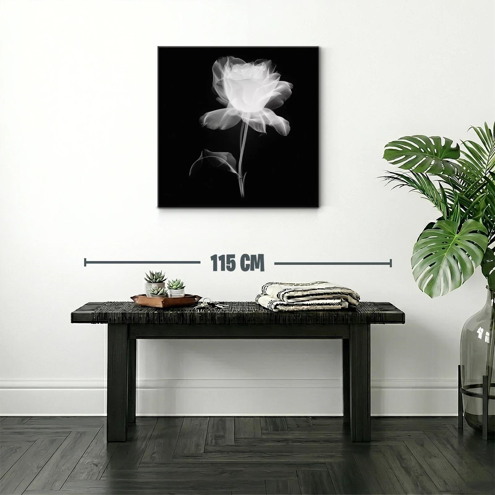 Rosa blanca etérea sobre fondo oscuro — miniatura 2
