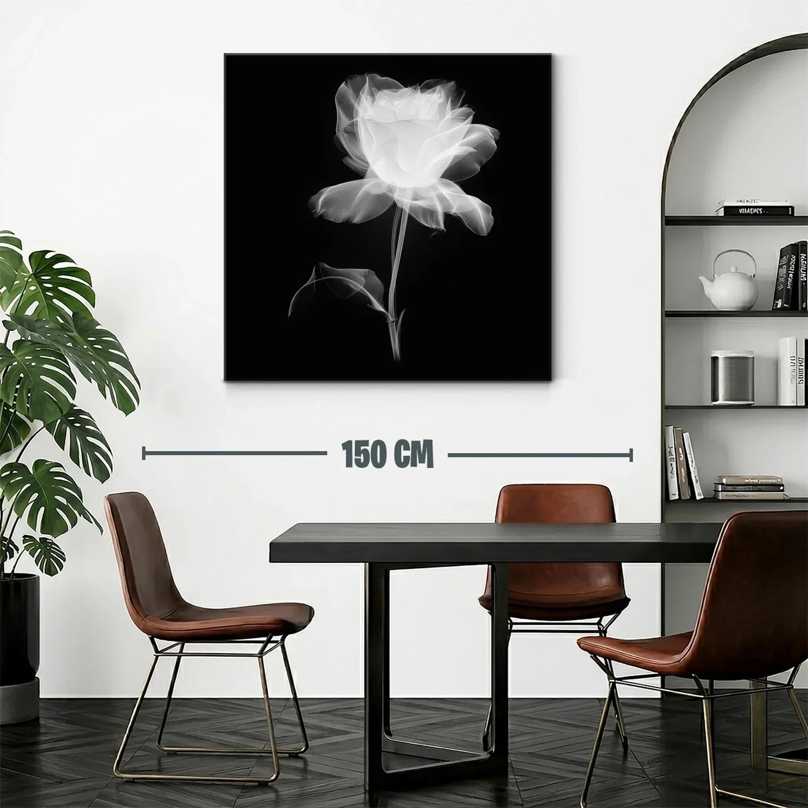Rosa blanca etérea sobre fondo oscuro — miniatura 2