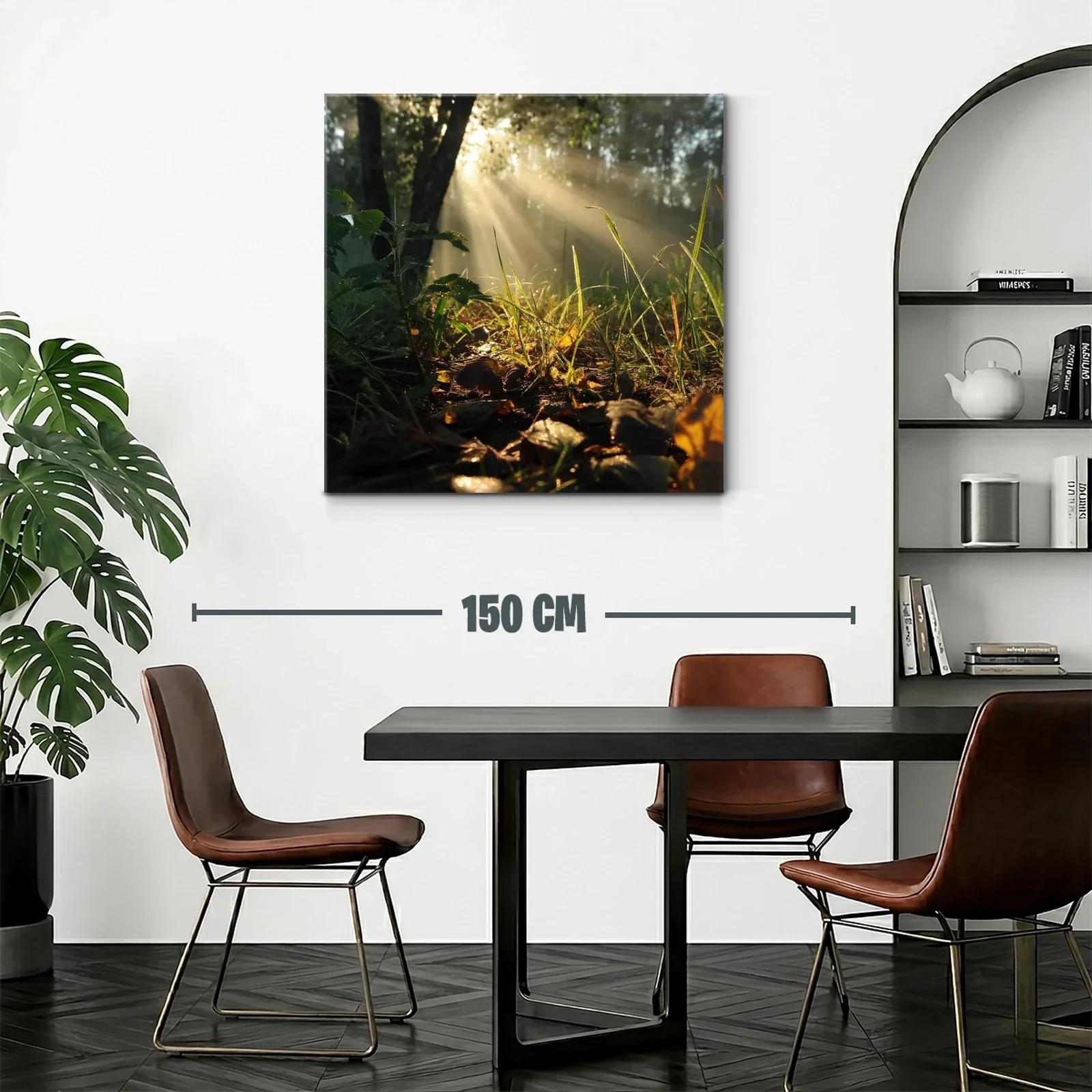 Rayos de sol entre hojas y naturaleza en calma — miniatura 2