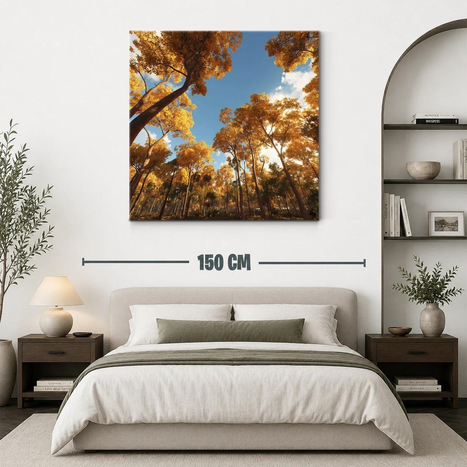 Bosque otoñal con luz cálida y cielo despejado — miniatura 3