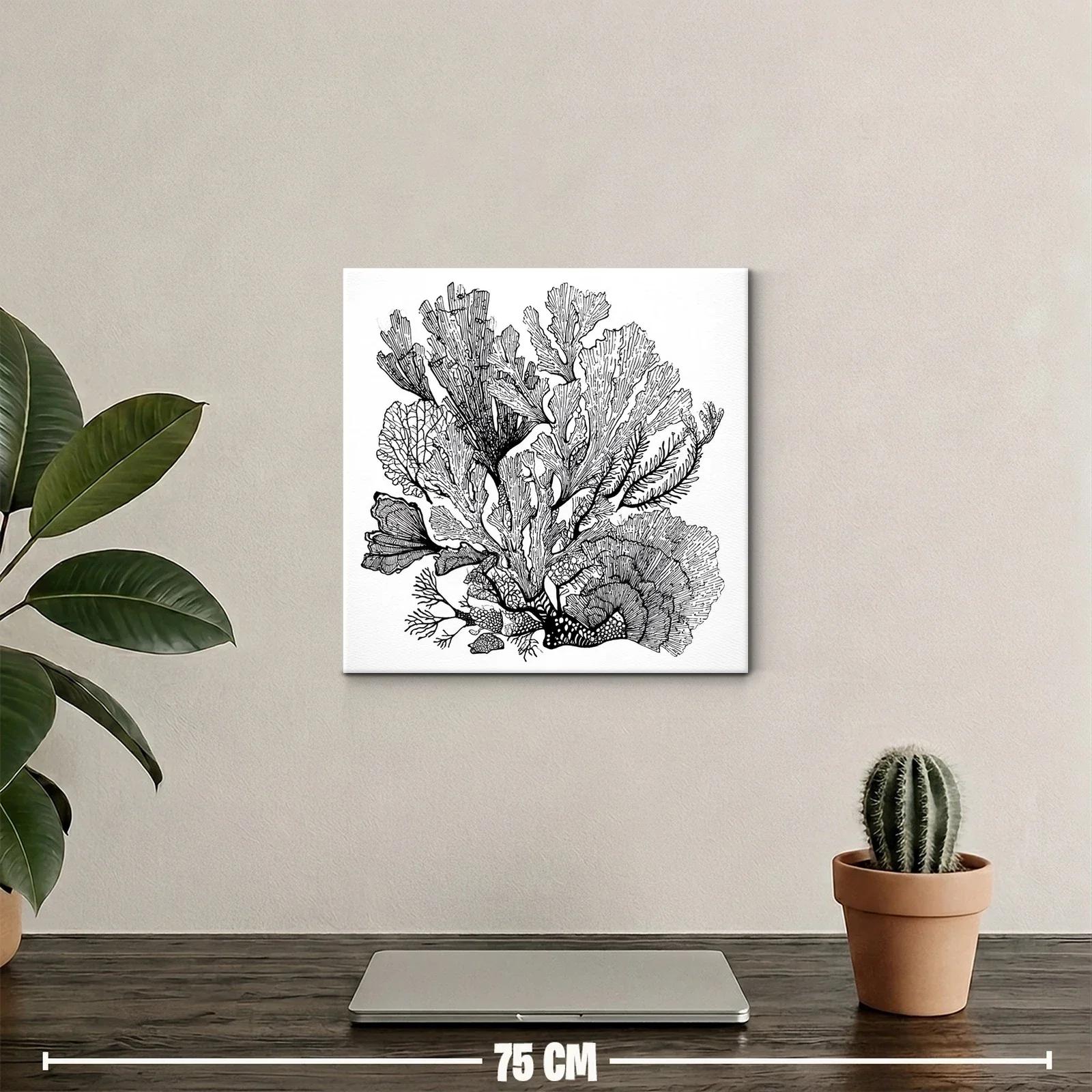 Composición orgánica de algas con delicados trazos en blanco y negro — miniatura 2