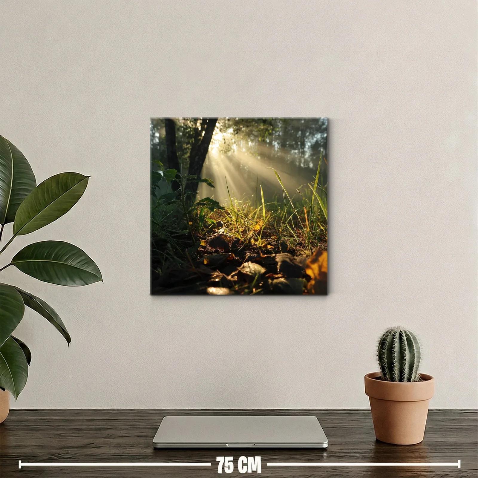 Rayos de sol entre hojas y naturaleza en calma — miniatura 2