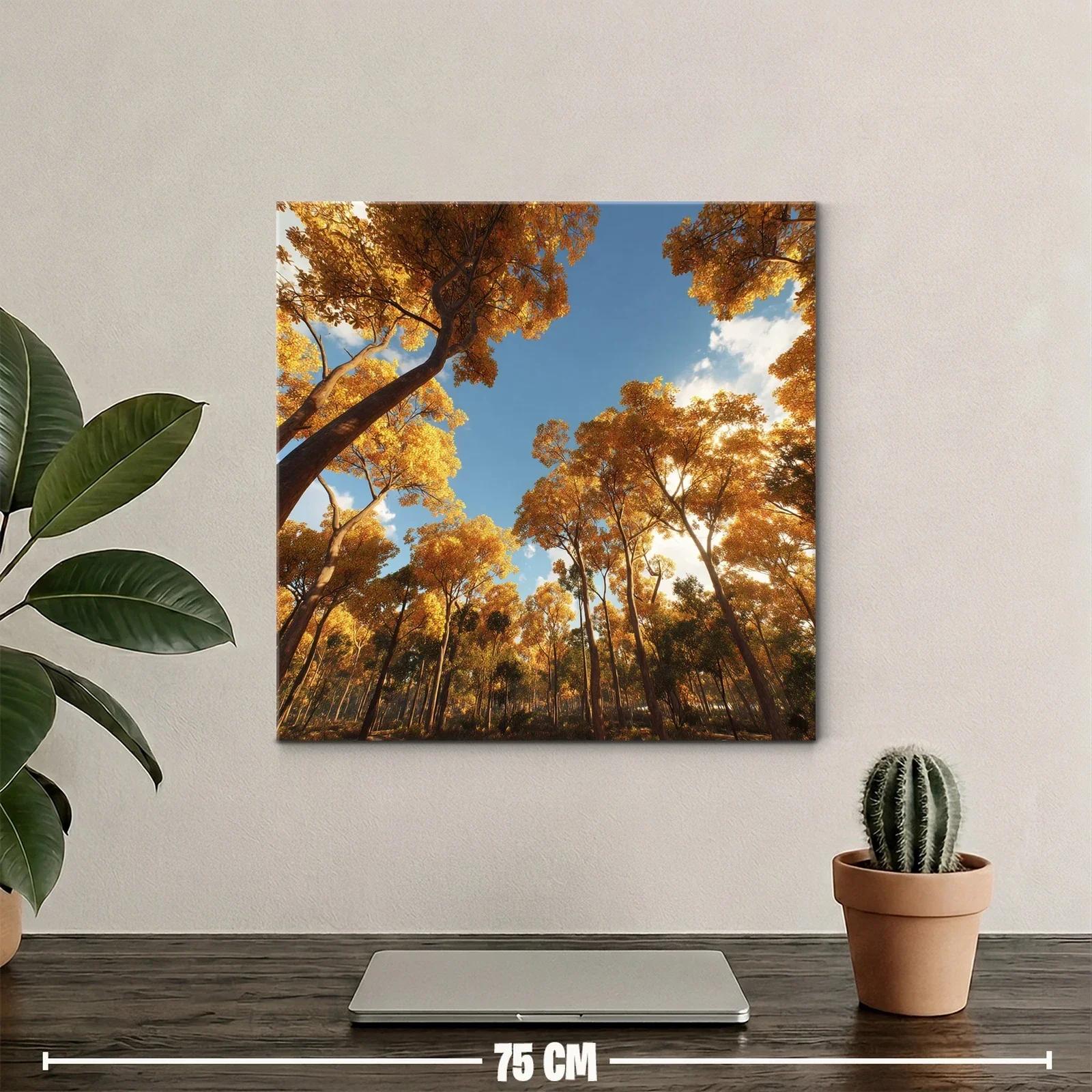 Bosque otoñal con luz cálida y cielo despejado — miniatura 2