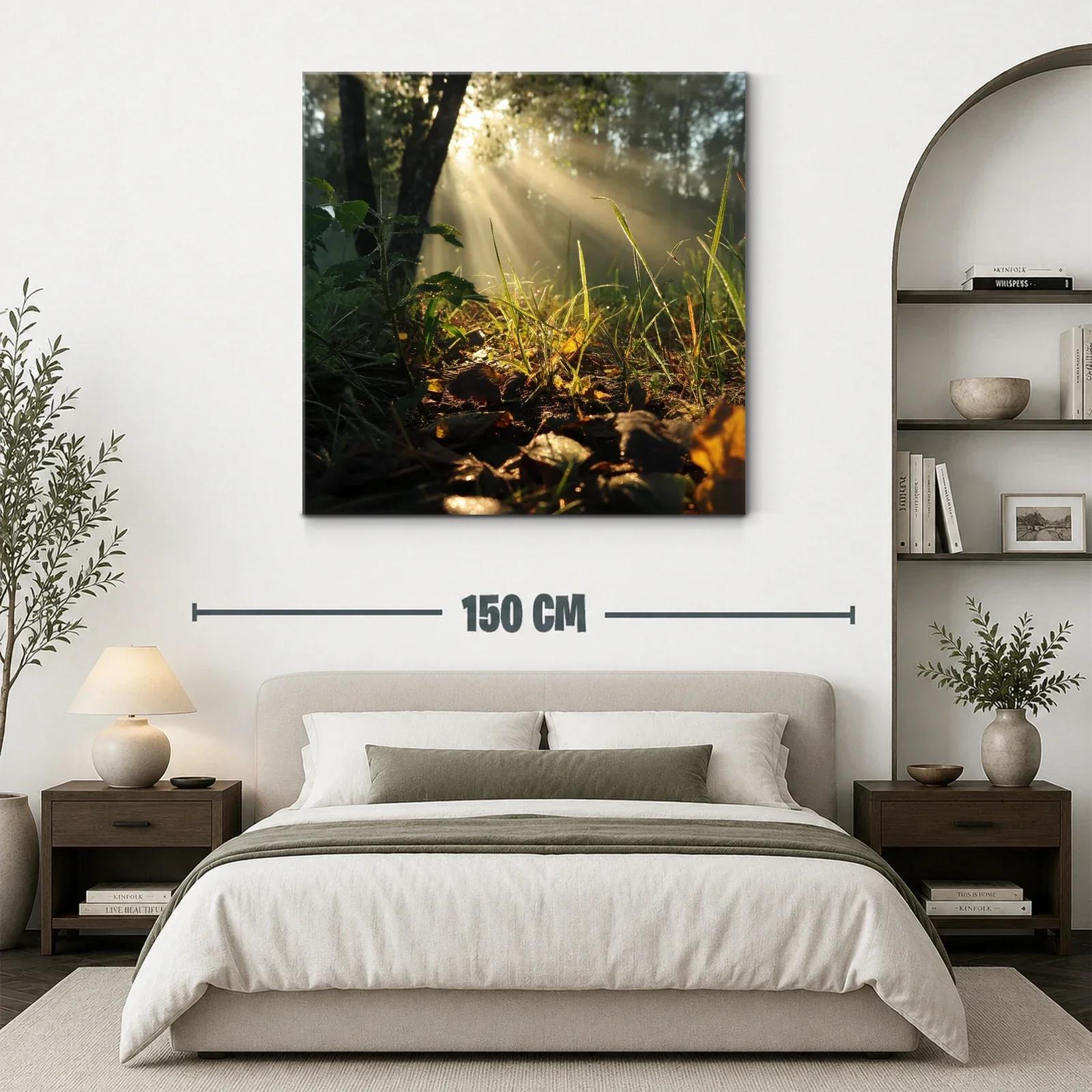 Rayos de sol entre hojas y naturaleza en calma — miniatura 3