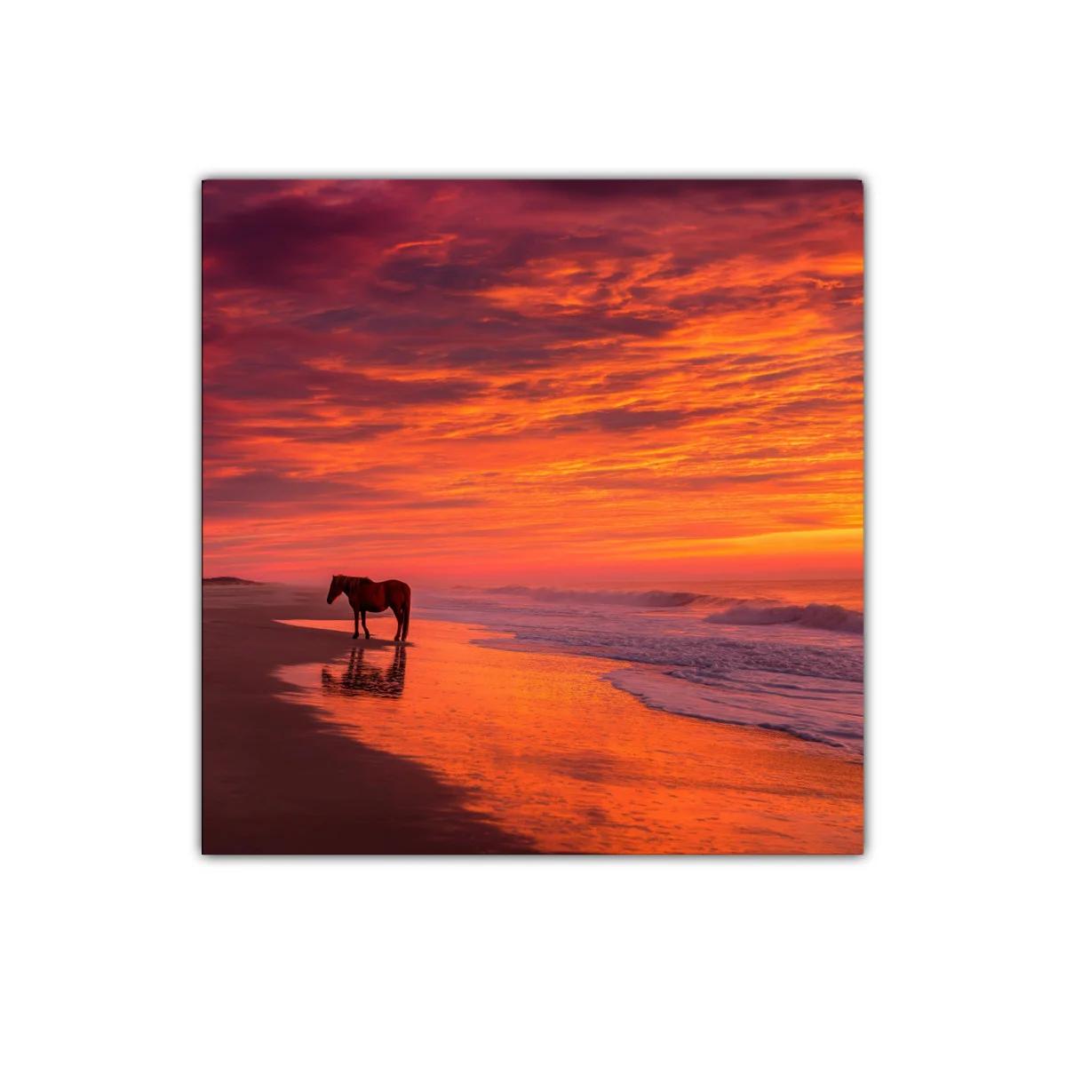 Paisaje marino con caballo al atardecer encendido — miniatura 1