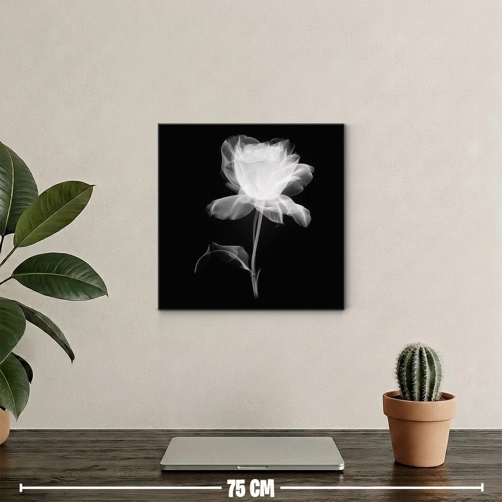 Rosa blanca etérea sobre fondo oscuro — miniatura 2