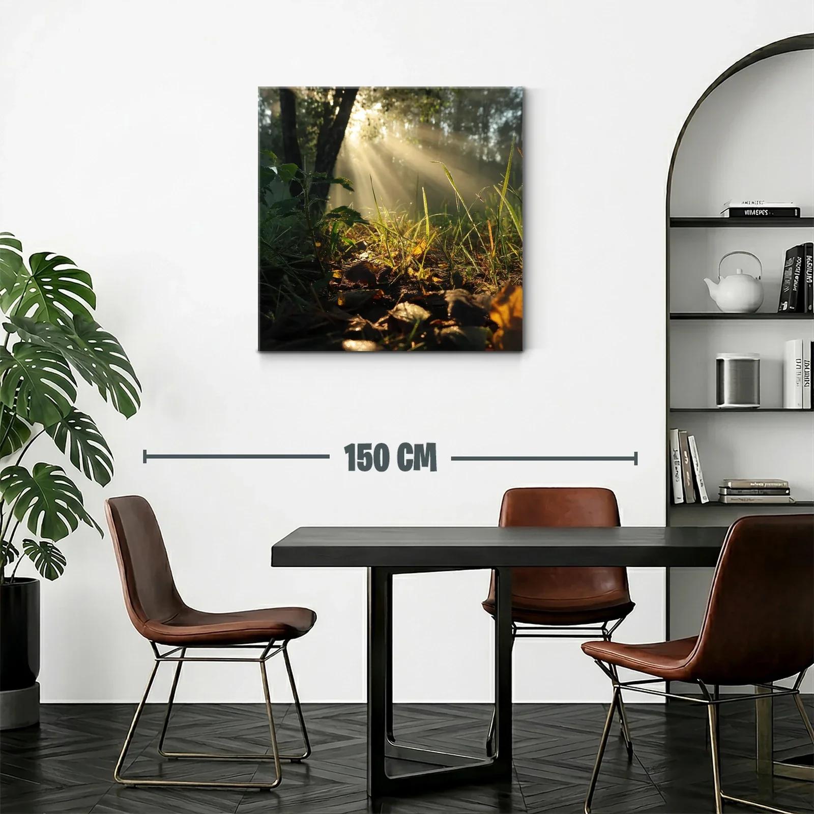 Rayos de sol entre hojas y naturaleza en calma — miniatura 2