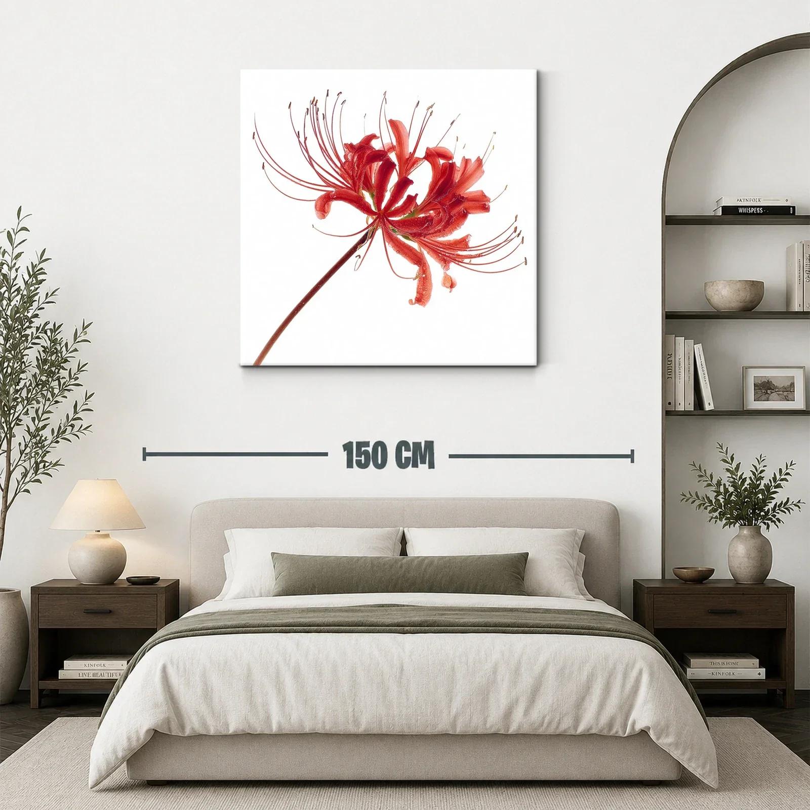 Flor roja elegante con delicados filamentos en blanco — miniatura 3