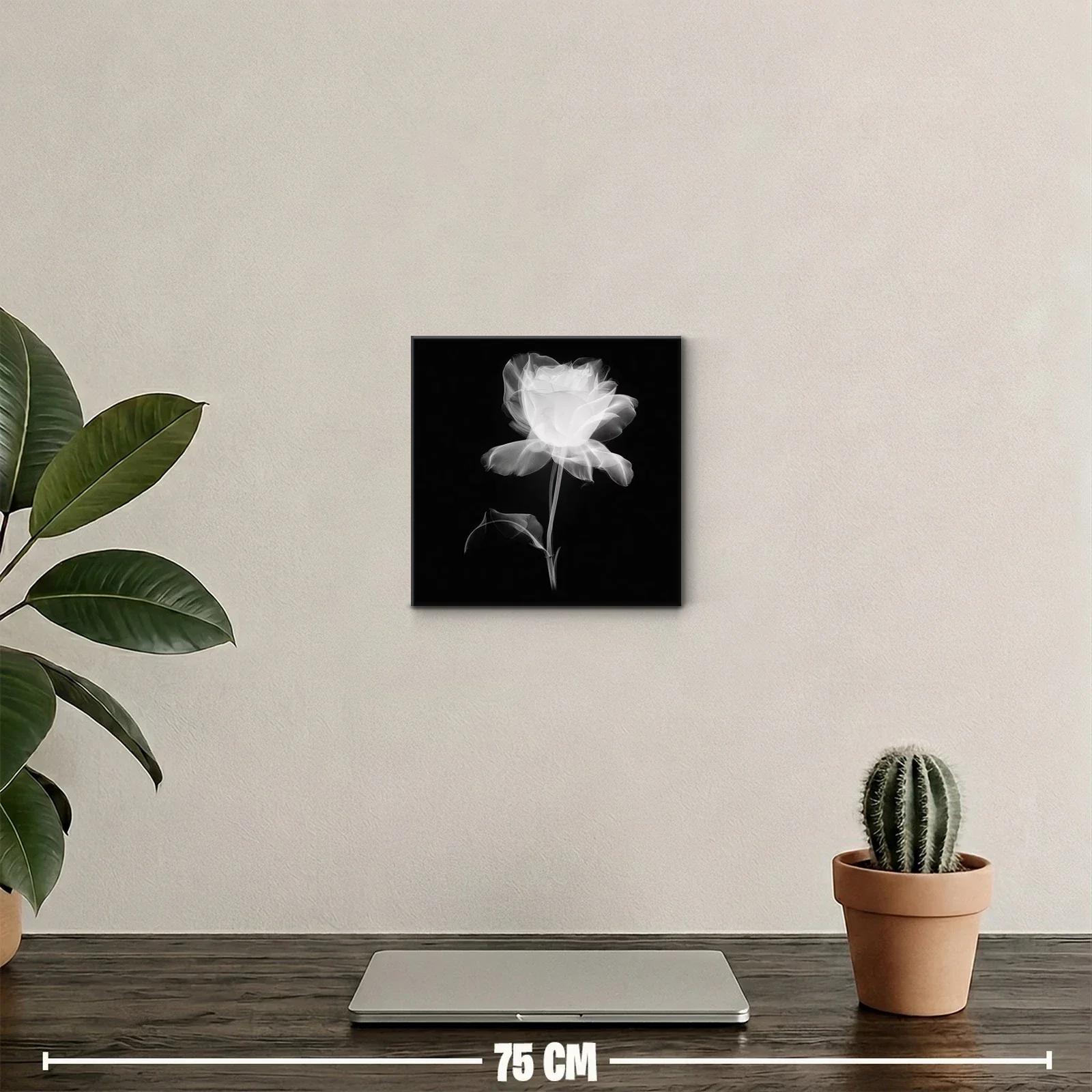 Rosa blanca etérea sobre fondo oscuro — miniatura 2